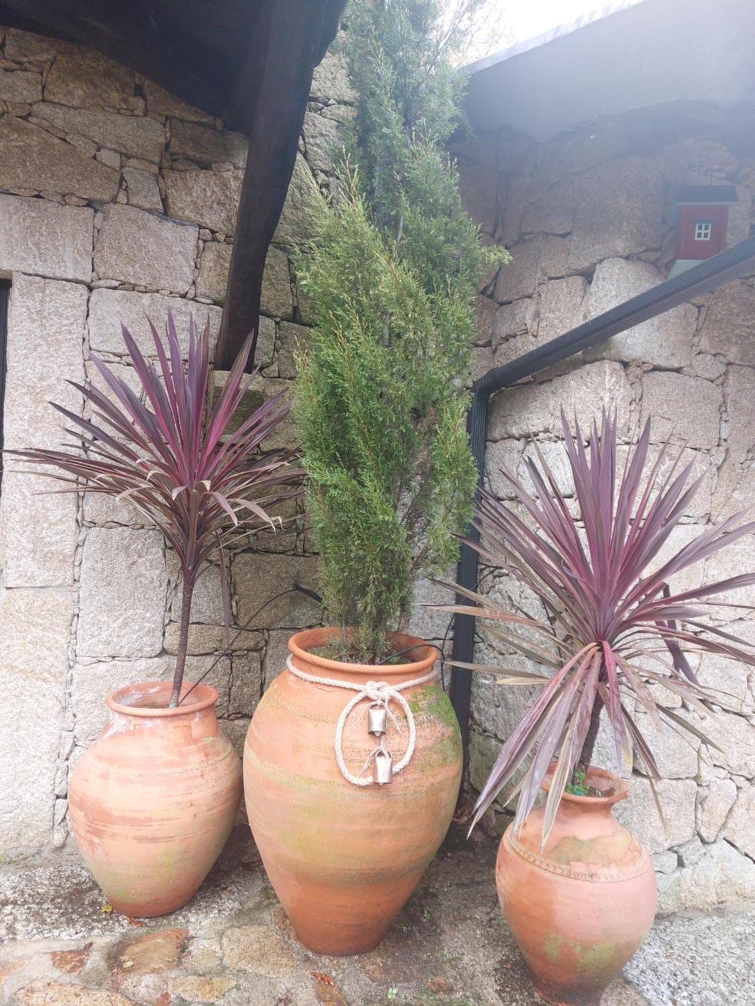 Quinta Do Caneiro Geres Exterior photo